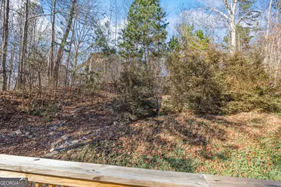 17 Collier Mill Road, Toccoa, GA 30577 - Photo 48