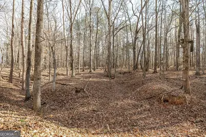 1115 Black Ike Road, Watkinsville, GA 30677 - Photo 50