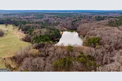 1115 Black Ike Road, Watkinsville, GA 30677 - Photo 20