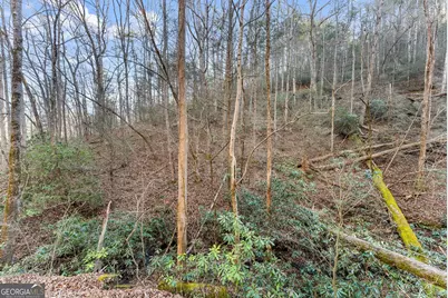0 River View Lot 12 Trail W, Dahlonega, GA 30533 - Photo 24
