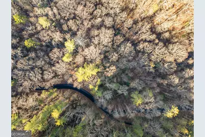 0 River View Lot 12 Trail W, Dahlonega, GA 30533 - Photo 14
