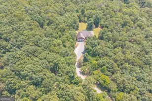 1103 Monroe Green Rd, Trion, GA 30753 - Photo 42