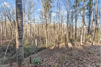 0 River View Lot 13 Trail W, Dahlonega, GA 30533 - Photo 26
