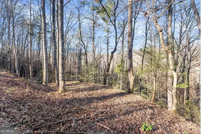 0 River View Lot 13 Trail W, Dahlonega, GA 30533 - Photo 24