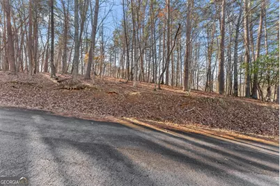 0 Golden Lot 2 Avenue, Dahlonega, GA 30533 - Photo 6