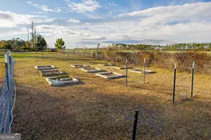 18 Eddye Ln, Ray City, GA 31645 - Photo 46