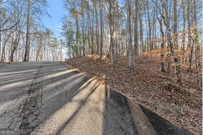 0 Golden Lot 5 Avenue, Dahlonega, GA 30533 - Photo 14
