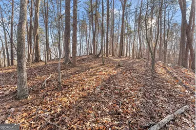 0 Golden Lot 4 Avenue, Dahlonega, GA 30533 - Photo 10