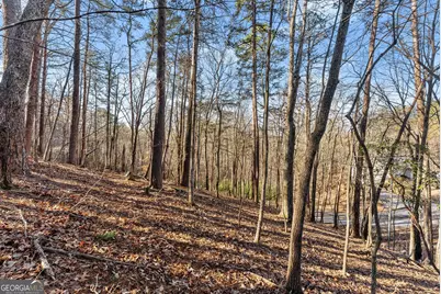 0 Golden Lot 4 Avenue, Dahlonega, GA 30533 - Photo 12