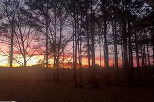 4374 River Rd, Manchester, GA 31816 - Photo 6