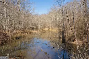 4950 Marshall Mill Rd, Lizella, GA 31052 - Photo 48