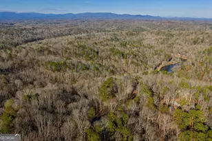 89 Pamela Ct, Ellijay, GA 30540 - Photo 2