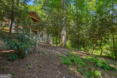 112 Springhill Lane, Clarkesville, GA 30523 - Photo 56