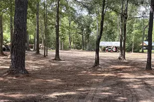 105 Buchanan Rd, Americus, GA 31719 - Photo 28