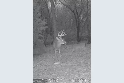 105 Buchanan Road, Americus, GA 31719 - Photo 26