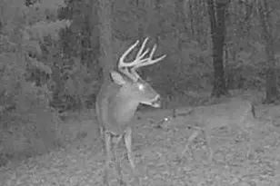 105 Buchanan Rd, Americus, GA 31719 - Photo 26