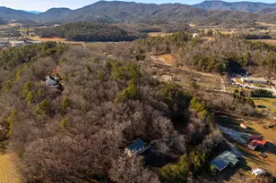 178 Troy Ln, Rabun Gap, GA 30568 - Photo 10