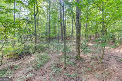 6350 Blackjack Road, Flowery Branch, GA 30542 - Photo 14