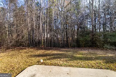 1129 Watercourse Way, Hampton, GA 30228 - Photo 32