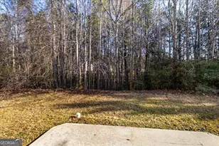 1129 Watercourse Way, Hampton, GA 30228 - Photo 32