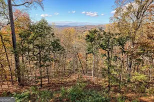1279 Harris Ridge Rd, Young Harris, GA 30582 - Photo 62