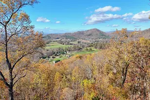 1279 Harris Ridge Rd, Young Harris, GA 30582 - Photo 4