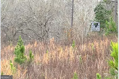 240 80 Highway, Culloden, GA 31016 - Photo 34