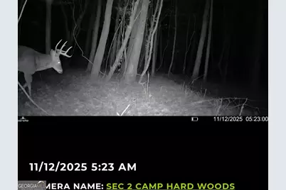 240 80 Highway, Culloden, GA 31016 - Photo 44