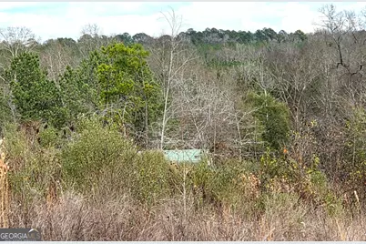 240 80 Highway, Culloden, GA 31016 - Photo 10