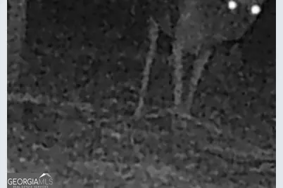 240 80 Highway, Culloden, GA 31016 - Photo 56