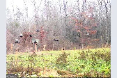 240 80 Highway, Culloden, GA 31016 - Photo 42