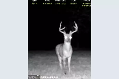 240 80 Highway, Culloden, GA 31016 - Photo 40