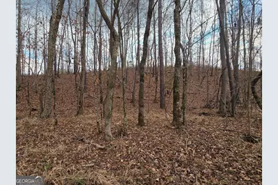 240 80 Highway, Culloden, GA 31016 - Photo 26