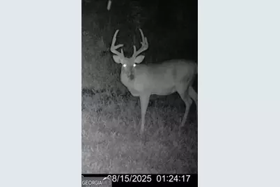 240 80 Highway, Culloden, GA 31016 - Photo 50