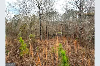 240 80 Highway, Culloden, GA 31016 - Photo 6