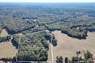 261 Hwy 85 Conn, Brooks, GA 30205 - Photo 72