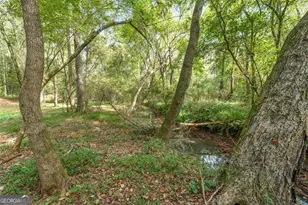 210 Hidden Falls Walk, Griffin, GA 30224 - Photo 42