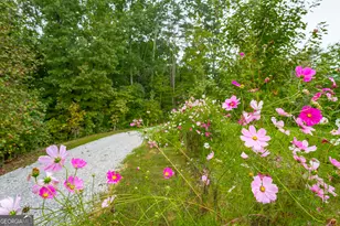 443 Back Valley Rd, Chickamauga, GA 30707 - Photo 72