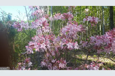 443 Back Valley Road, Chickamauga, GA 30707 - Photo 74