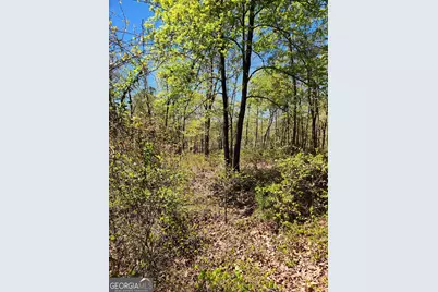 0 Crawfords Ferry Point, Hartwell, GA 30643 - Photo 2