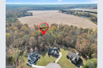 196 Magnolia Trace, Milner, GA 30257 - Photo 46