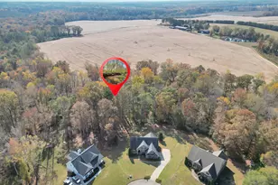 196 Magnolia Trce, Milner, GA 30257 - Photo 46