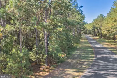 Lot 31 Sweet Magnolia Lane, Dublin, GA 31021 - Photo 12