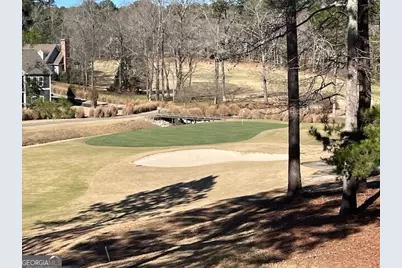 1010 Billy Mantle Lane, Greensboro, GA 30642 - Photo 80