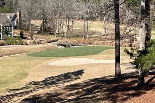 1010 Billy Mantle Ln, Greensboro, GA 30642 - Photo 80