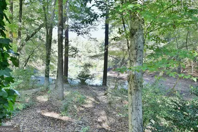 5656 Hamilton Road, Pine Mountain, GA 31822 - Photo 48