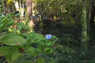 5656 Hamilton Rd, Pine Mountain, GA 31822 - Photo 74