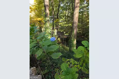 5656 Hamilton Road, Pine Mountain, GA 31822 - Photo 72