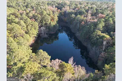 5656 Hamilton Road, Pine Mountain, GA 31822 - Photo 66