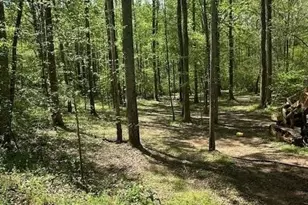 72 Woodfield Rd, Covington, GA 30014 - Photo 12